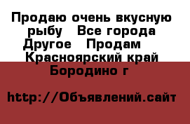 Продаю очень вкусную рыбу - Все города Другое » Продам   . Красноярский край,Бородино г.